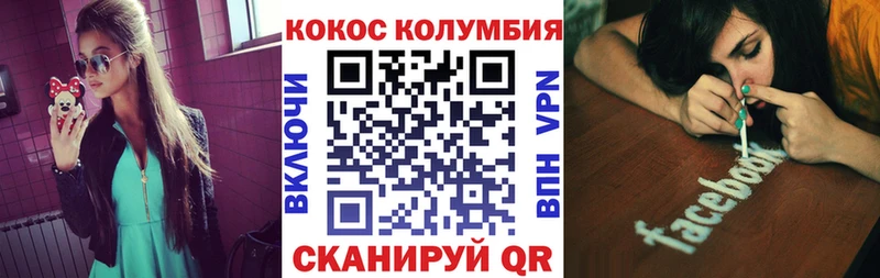 Купить  Судак  COCAIN Боливия 