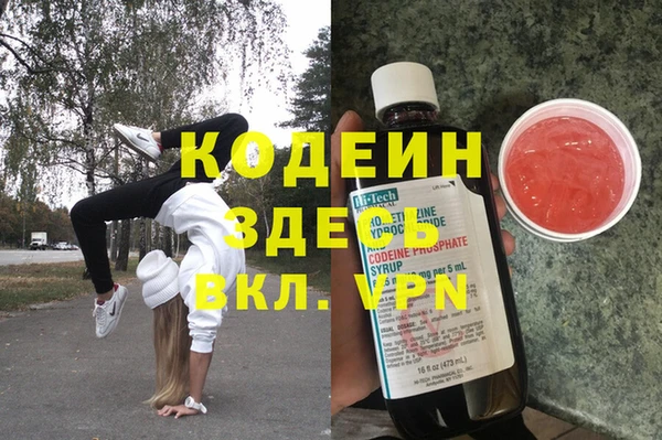 стаф Арсеньев