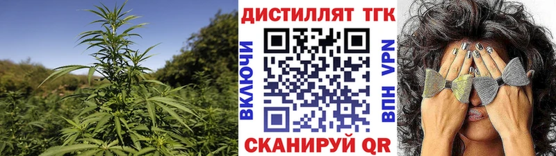 Купить закладки Судак ТГК жижа