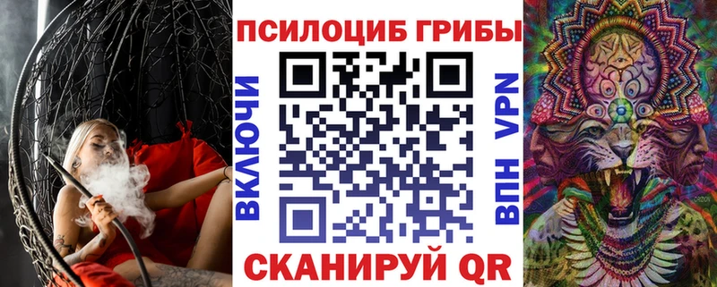 Купить закладки  Судак  Галлюциногенные грибы Psilocybe 